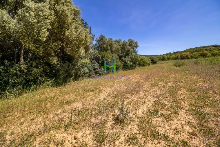 Terreno para Venda em Aljezur Foto 11
