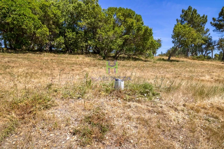 Terreno para Venda em Aljezur Foto 5