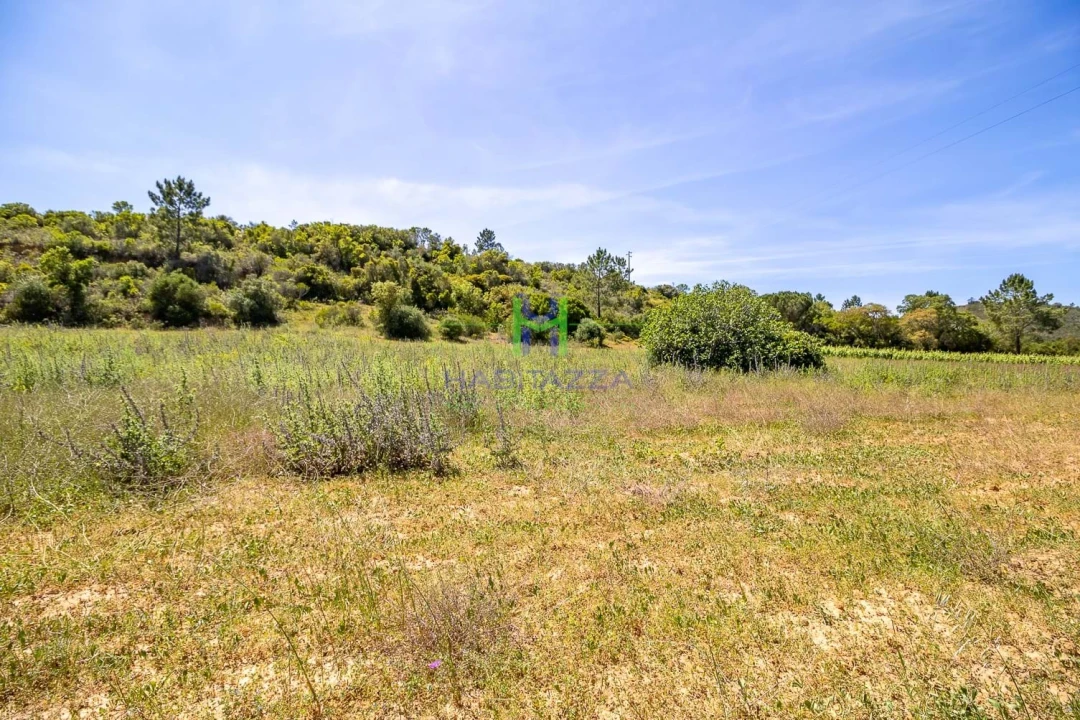 Terreno para Venda em Aljezur Foto 10