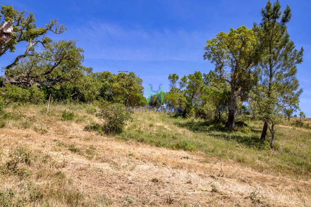Terreno para Venda em Aljezur Foto 7