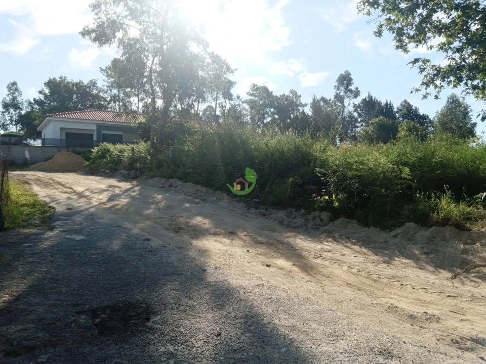 Terreno para Venda em Vila Verde e Barbudo Foto 11