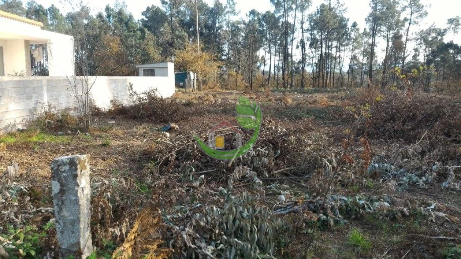Terreno para Venda em Vila Verde e Barbudo Foto 4