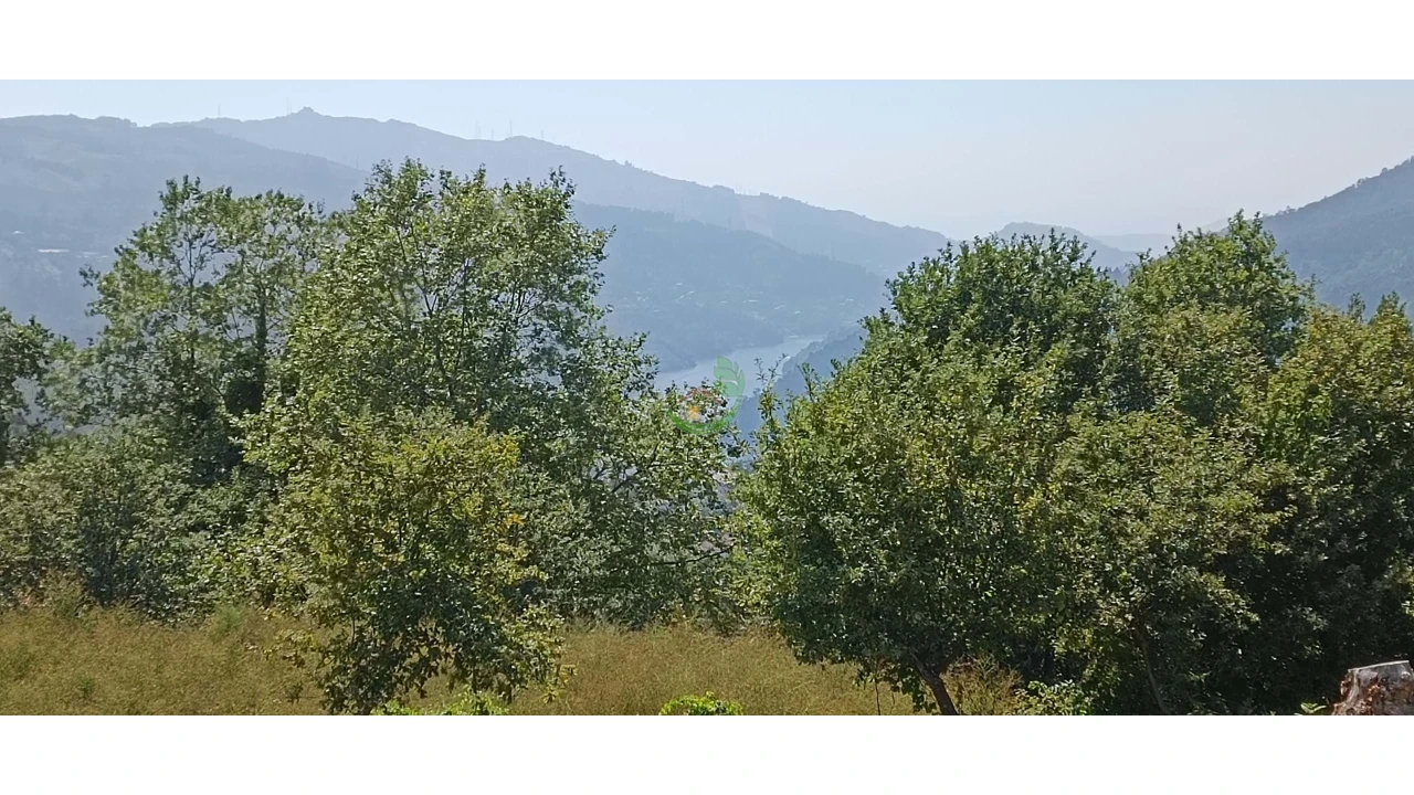 Terreno para Venda em Campo do Geres Foto 3