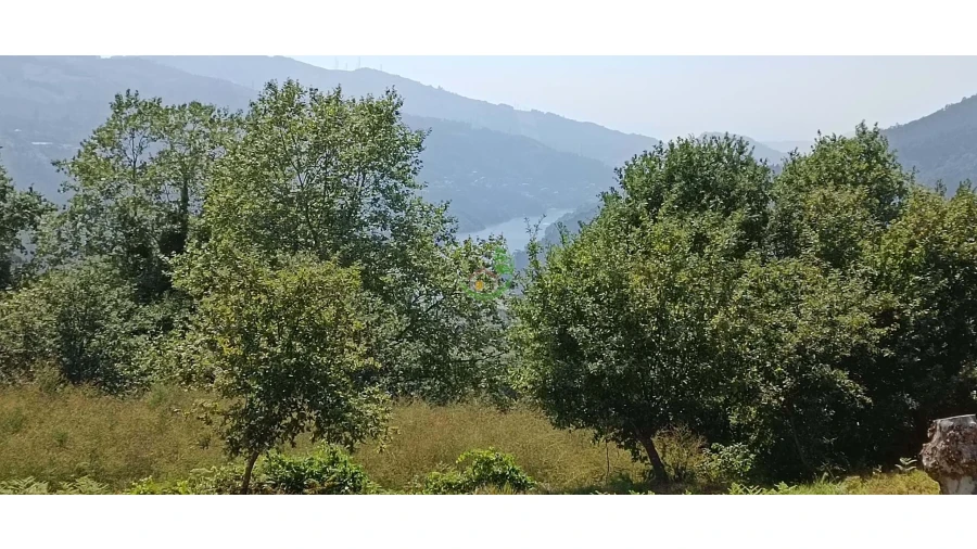 Terreno para Venda em Campo do Geres Foto 2