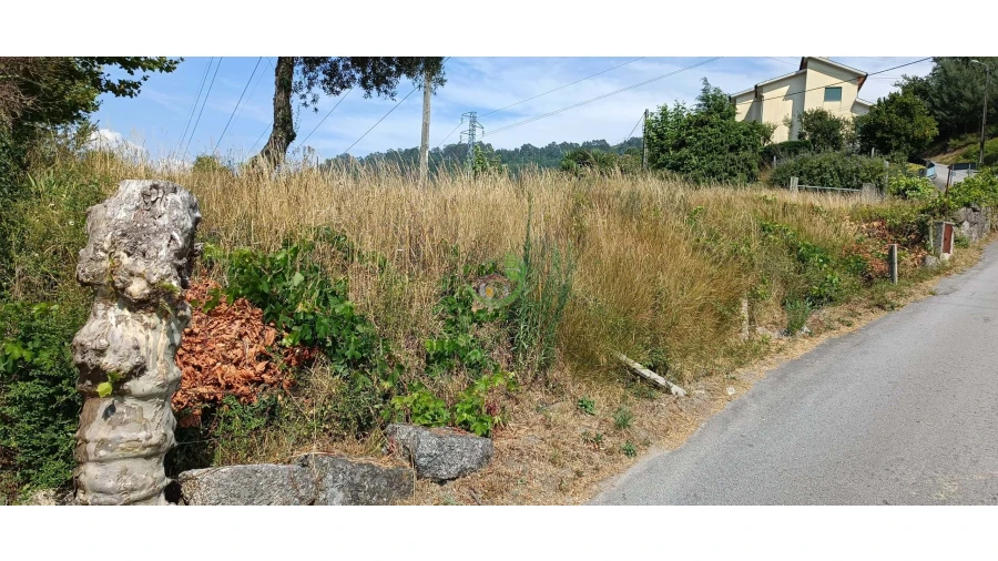 Terreno para Venda em Campo do Geres Foto 4