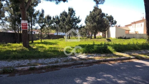Terreno para Venda em Marinha Grande