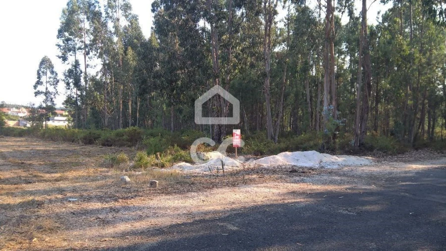 Terreno para Venda em Marinha Grande