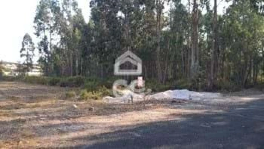 Terreno para Venda em Marinha Grande Foto 6