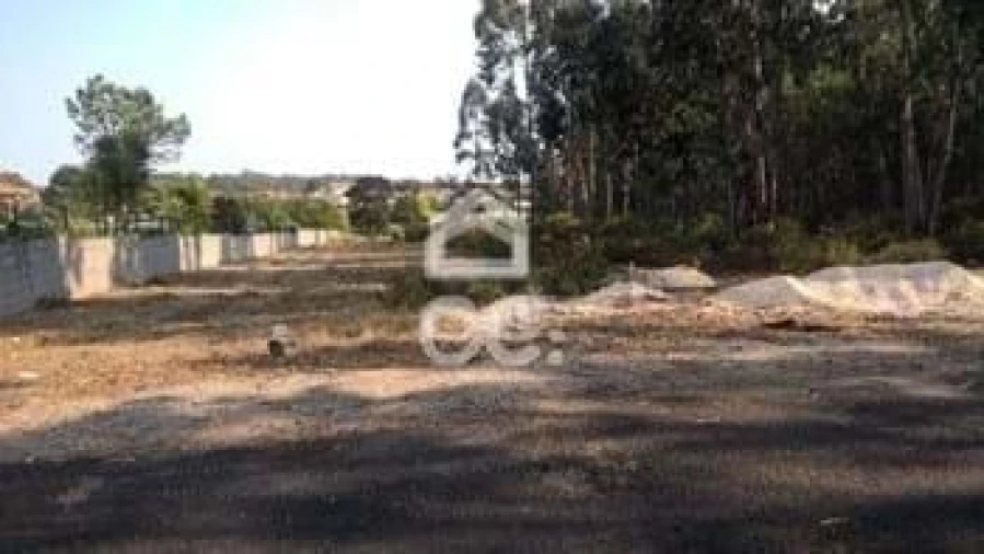 Terreno para Venda em Marinha Grande Foto 9