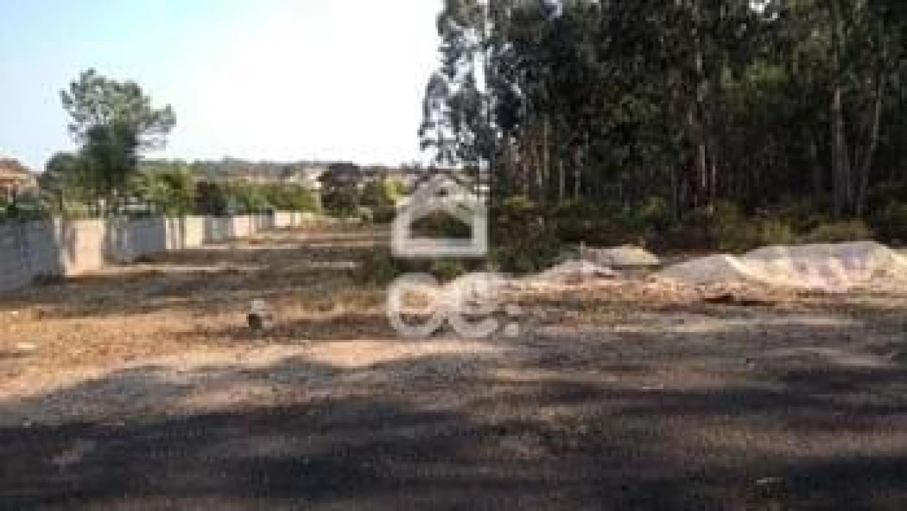Terreno para Venda em Marinha Grande Foto 9