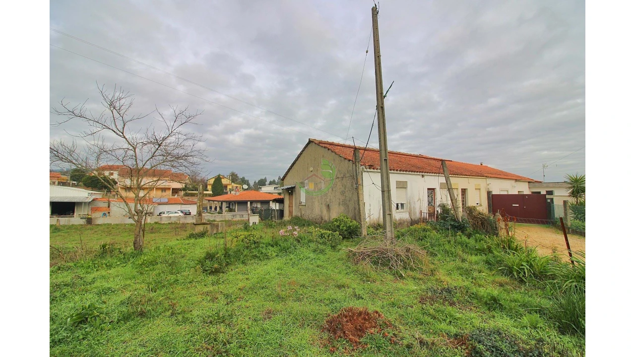 Quinta para Venda em Cabanelas Foto 5