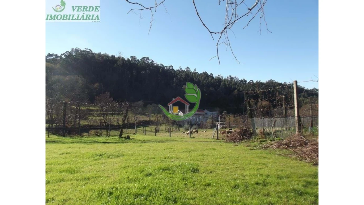 Quinta para Venda em Ribeira do Neiva Foto 37