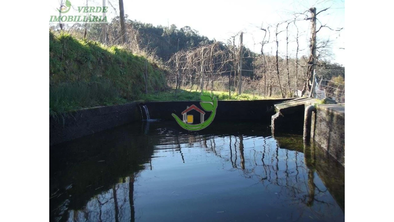 Quinta para Venda em Ribeira do Neiva Foto 34