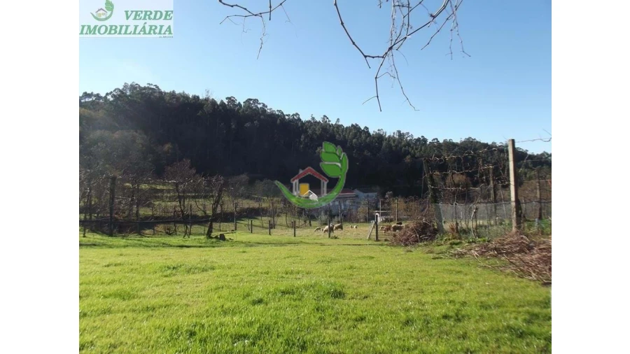 Quinta para Venda em Ribeira do Neiva Foto 37