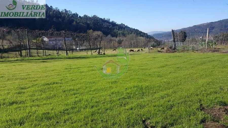 Quinta para Venda em Ribeira do Neiva Foto 35