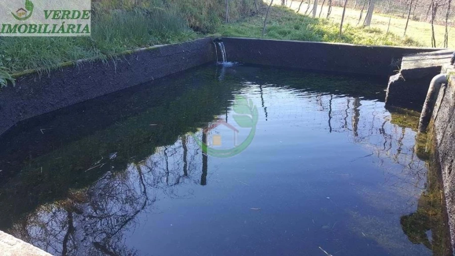 Quinta para Venda em Ribeira do Neiva Foto 16