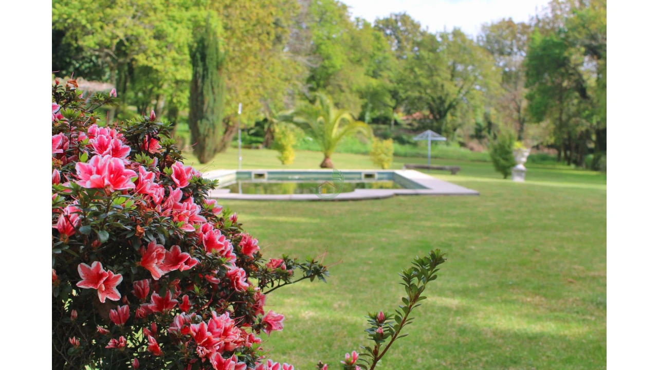 Quinta T10 para Venda em Esqueiros, Nevogilde e Travassós Foto 94