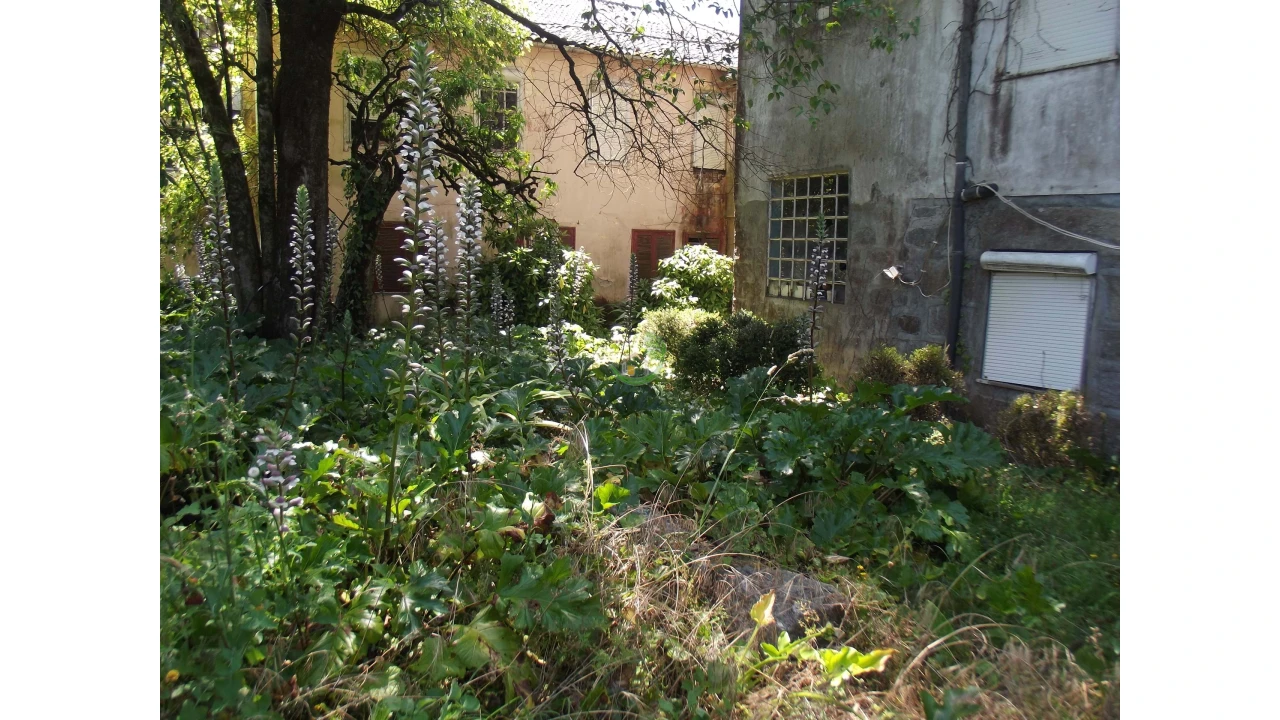 Terreno para Venda em Caldelas, Sequeiros e Paranhos Foto 12