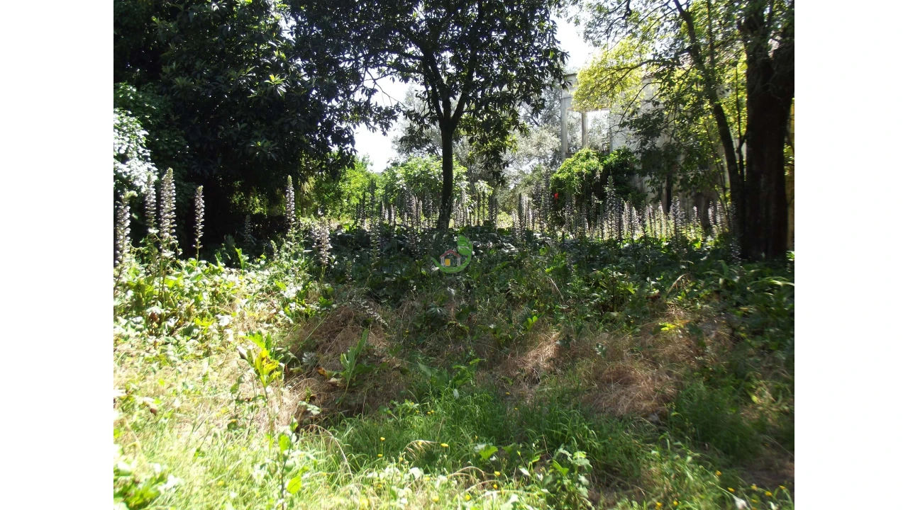 Terreno para Venda em Caldelas, Sequeiros e Paranhos Foto 8