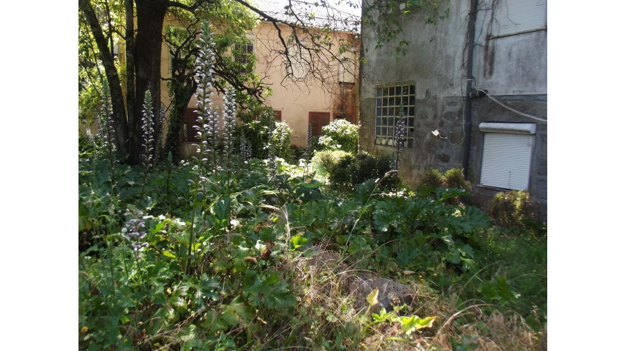 Terreno para Venda em Caldelas, Sequeiros e Paranhos Foto 12