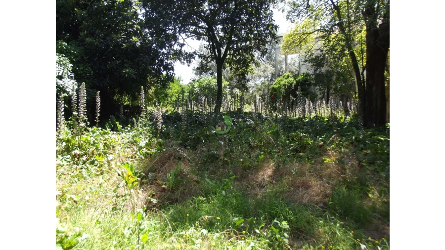 Terreno para Venda em Caldelas, Sequeiros e Paranhos Foto 8