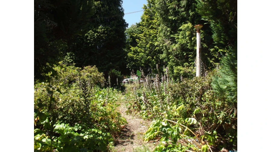 Terreno para Venda em Caldelas, Sequeiros e Paranhos Foto 15