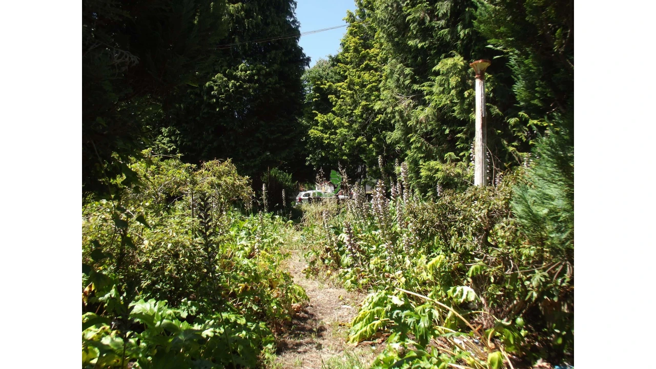 Terreno para Venda em Caldelas, Sequeiros e Paranhos Foto 15