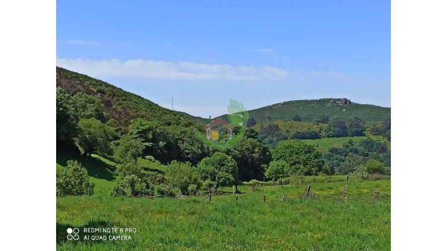 Terreno para Venda em Valdreu Foto 7
