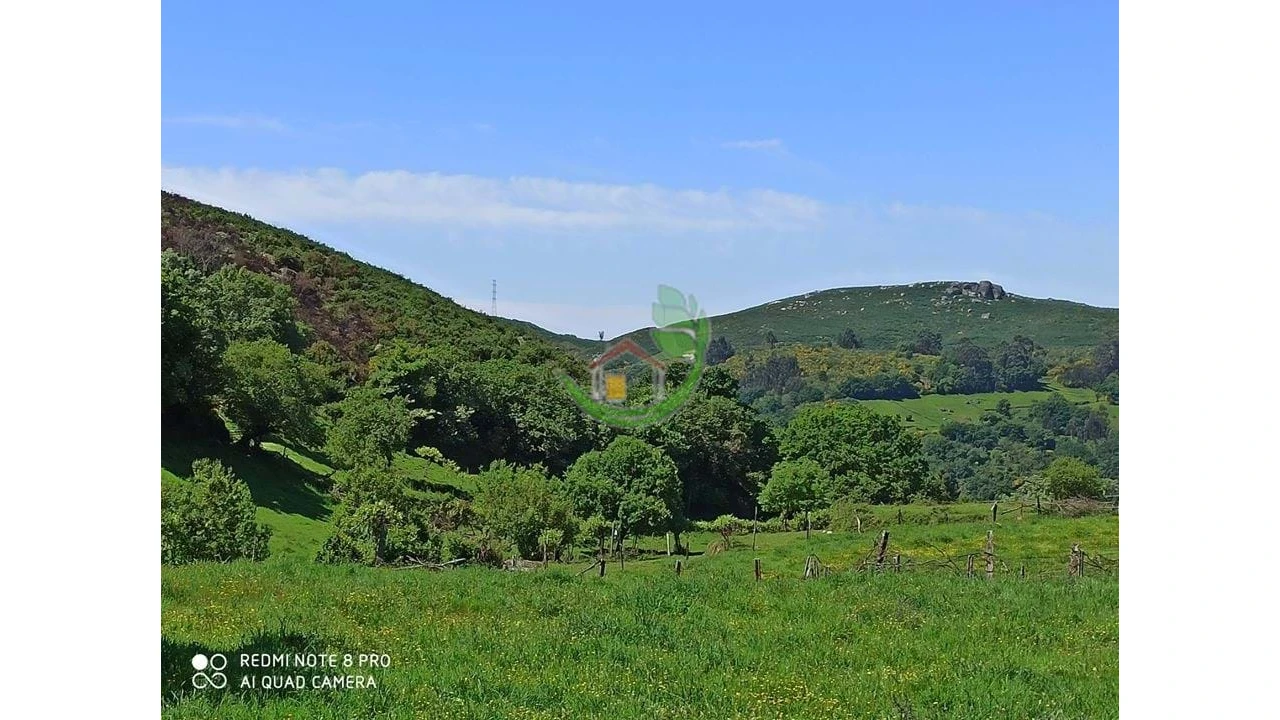 Terreno para Venda em Valdreu Foto 7