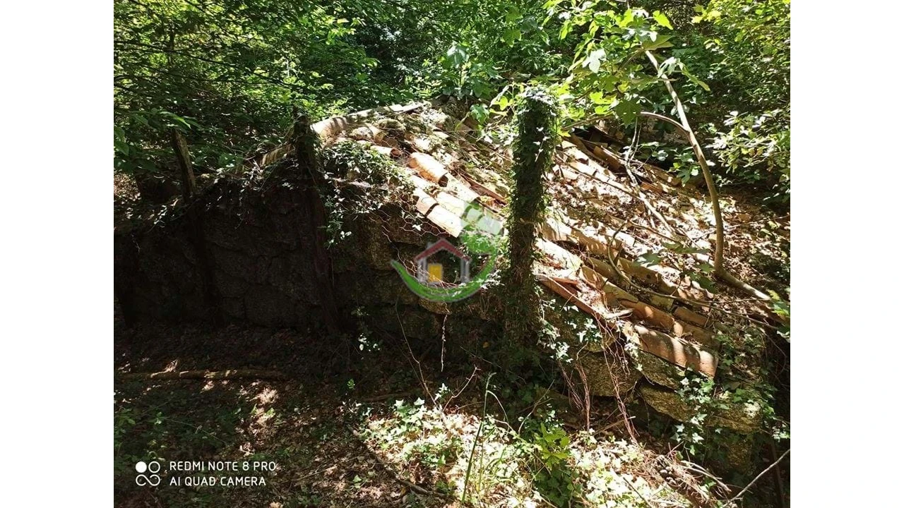 Terreno para Venda em Gondoriz Foto 3