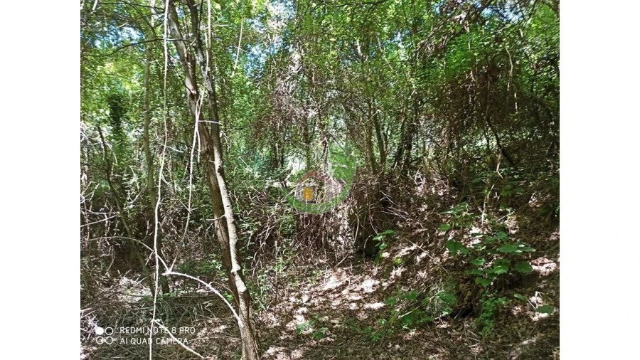 Terreno para Venda em Gondoriz Foto 8