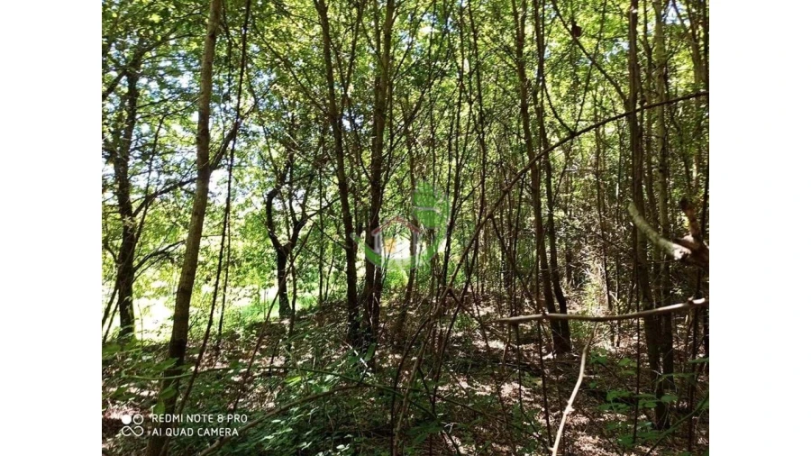Terreno para Venda em Gondoriz Foto 9