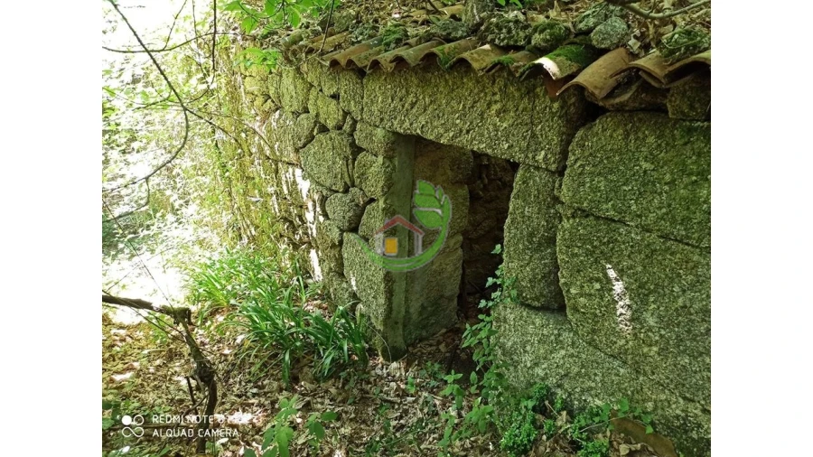 Terreno para Venda em Gondoriz Foto 5