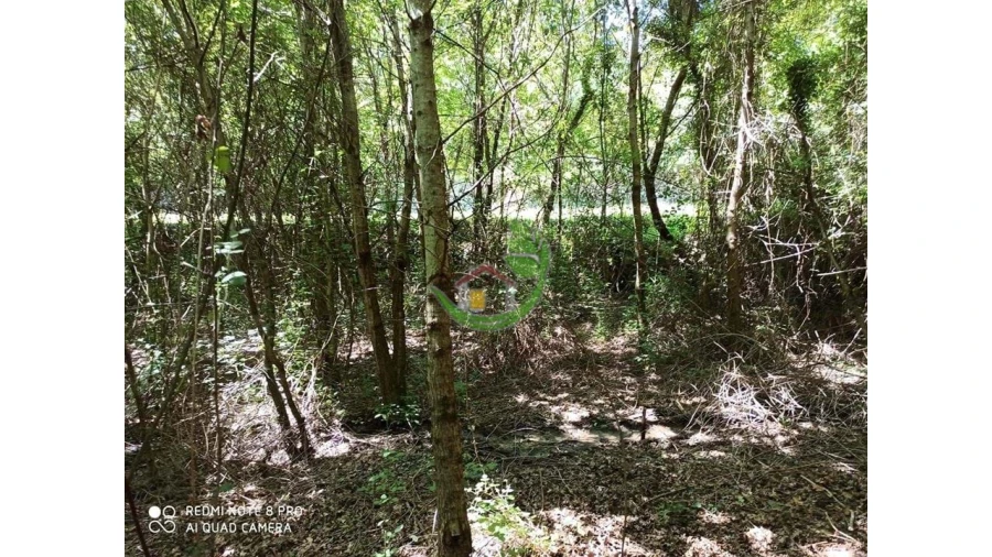 Terreno para Venda em Gondoriz Foto 7