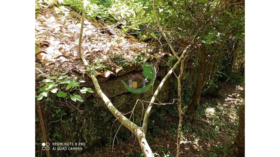 Terreno para Venda em Gondoriz Foto 2