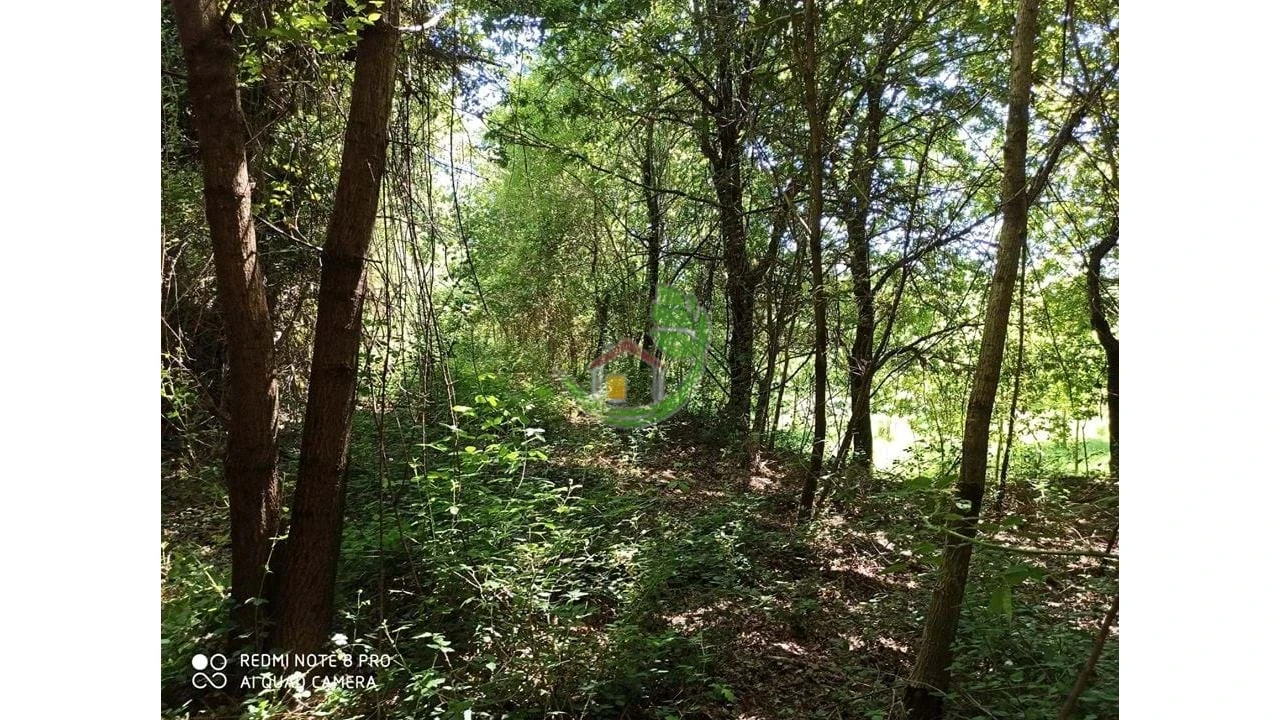 Terreno para Venda em Gondoriz Foto 6