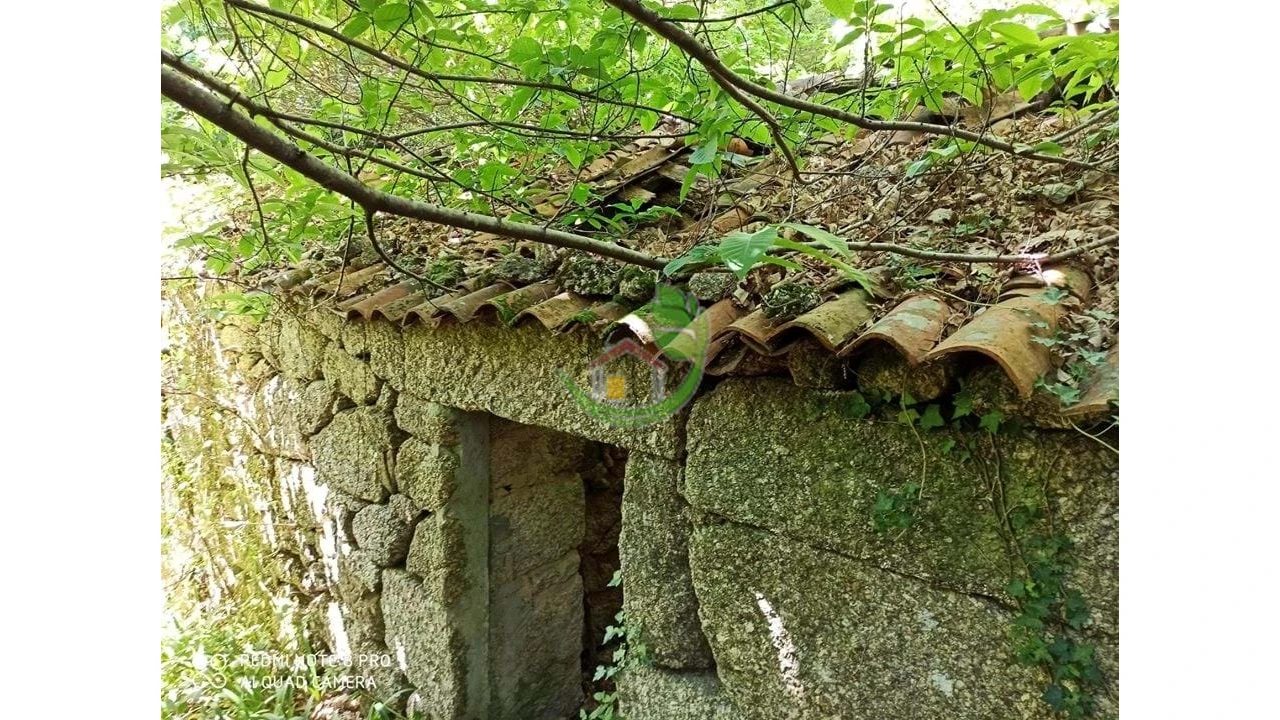 Terreno para Venda em Gondoriz Foto 4