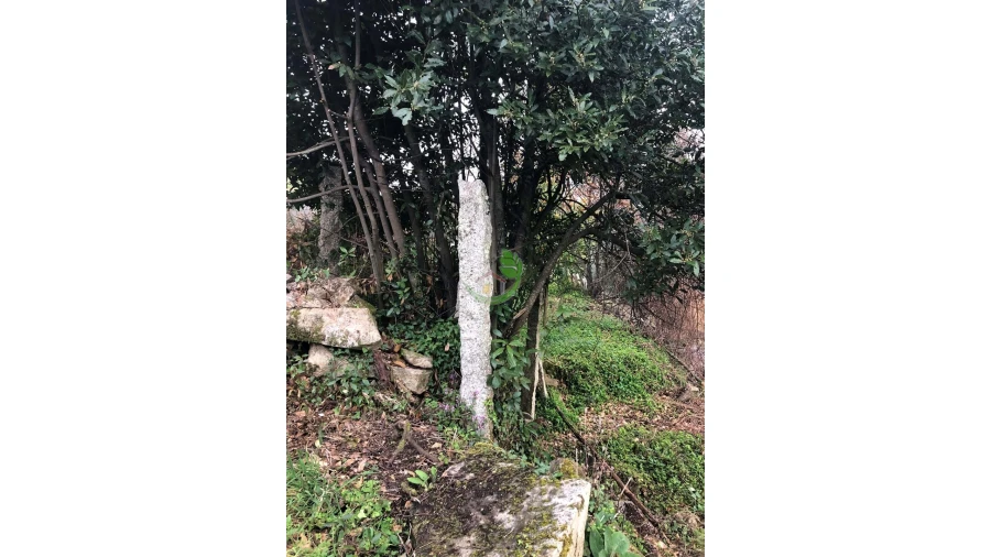 Terreno para Venda em Ganfei Foto 4