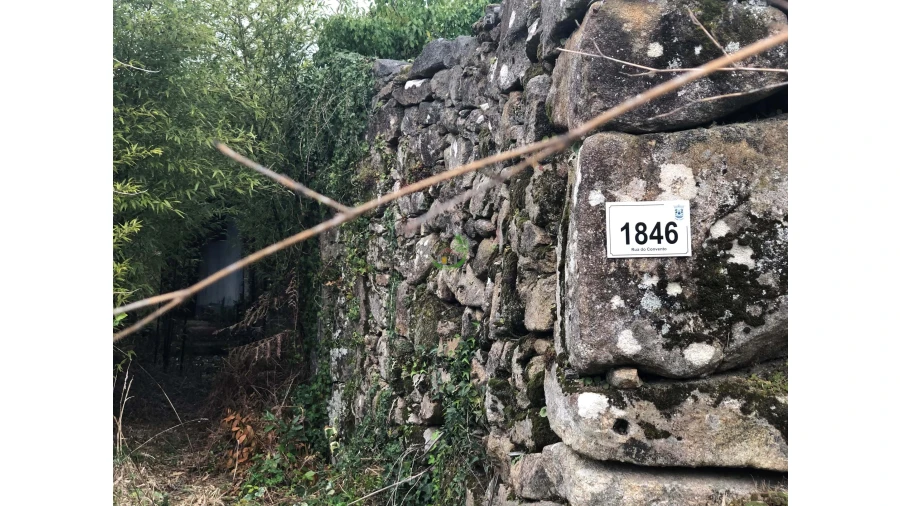 Terreno para Venda em Ganfei Foto 23