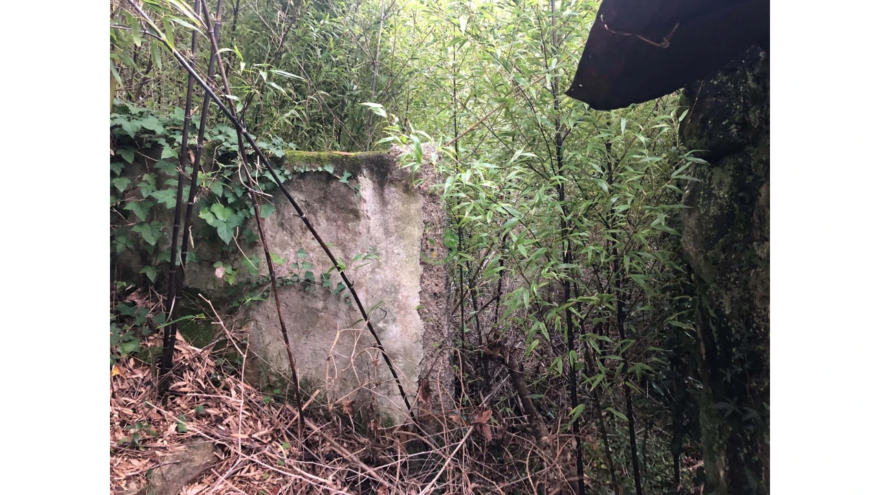 Terreno para Venda em Ganfei Foto 10