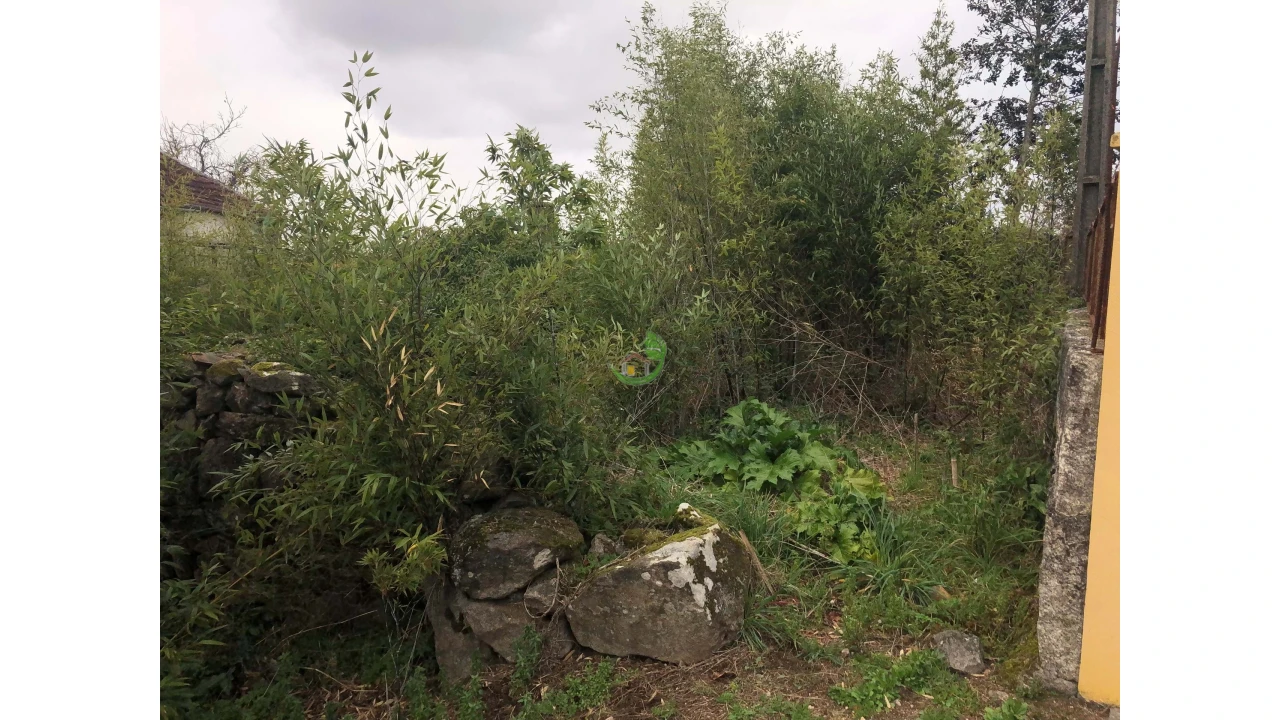 Terreno para Venda em Ganfei Foto 19