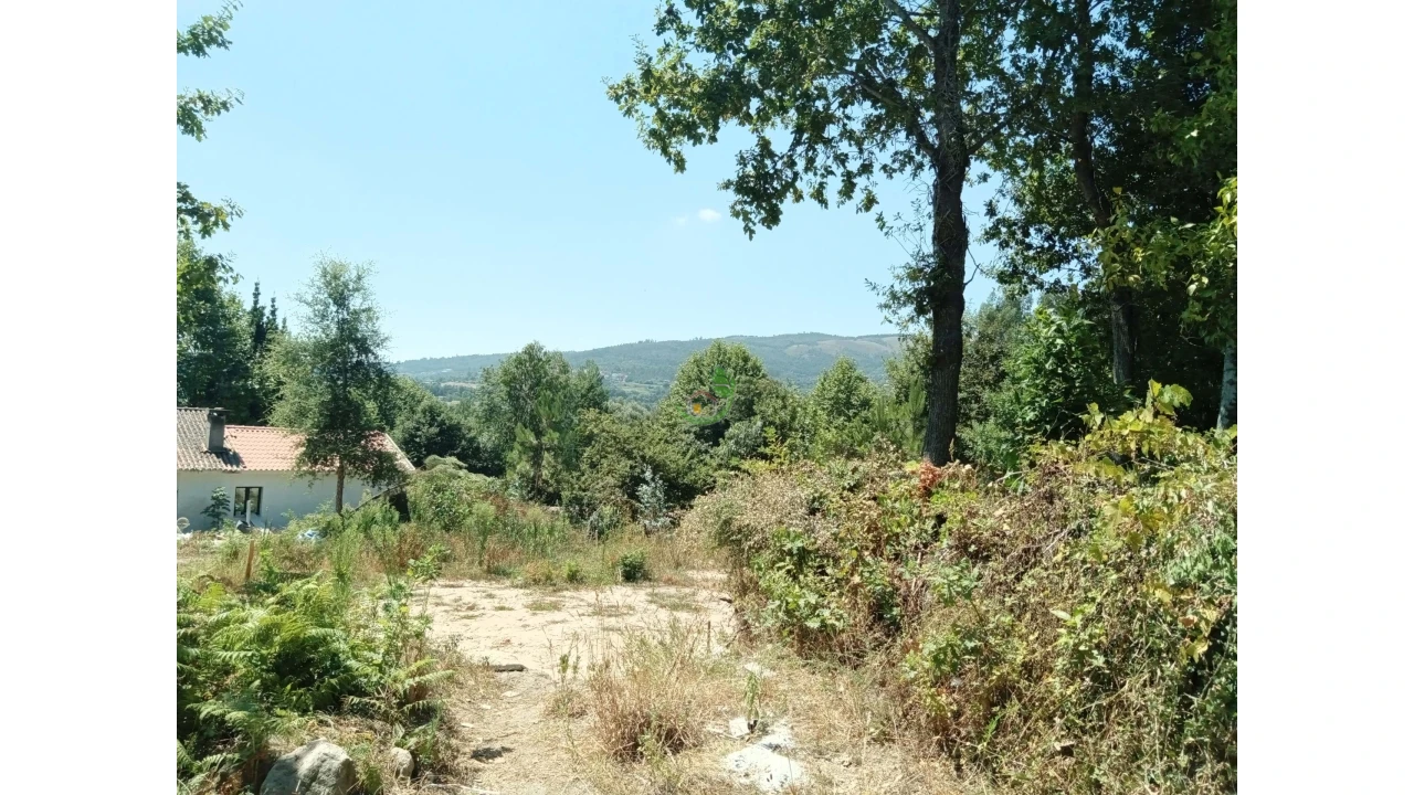 Terreno para Venda em Pico Foto 5