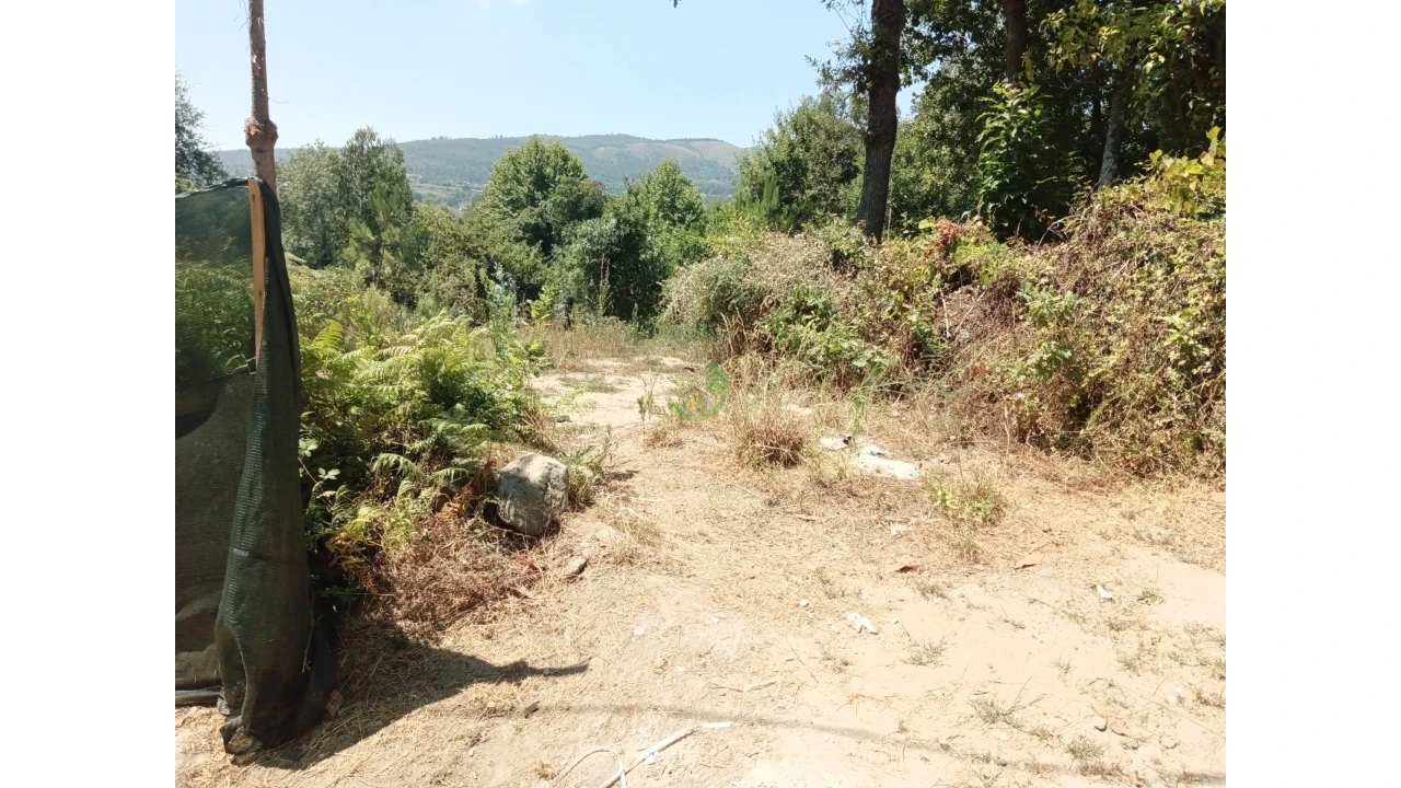 Terreno para Venda em Pico Foto 4