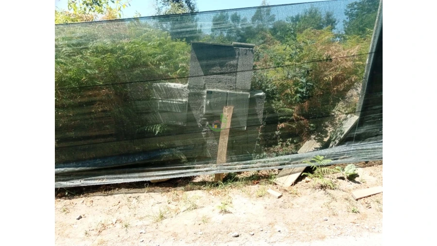 Terreno para Venda em Pico Foto 2