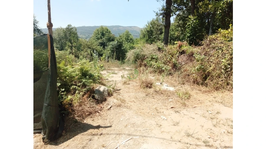 Terreno para Venda em Pico Foto 4