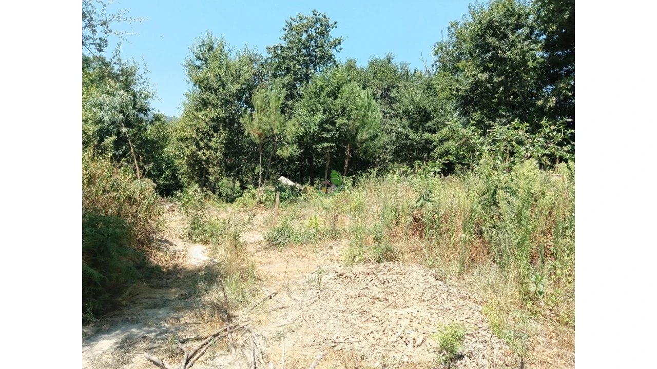 Terreno para Venda em Pico Foto 6