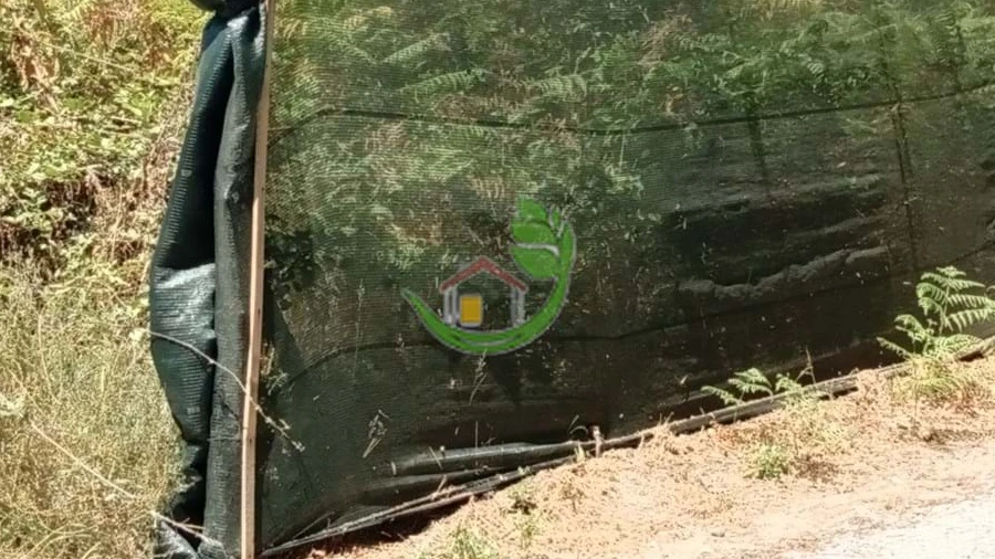 Terreno para Venda em Pico