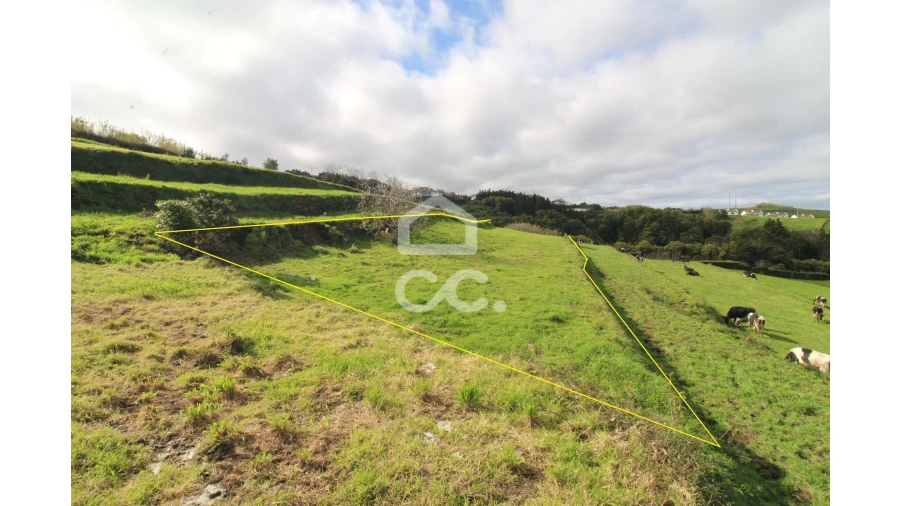 Terreno para Venda em Santana Foto 3