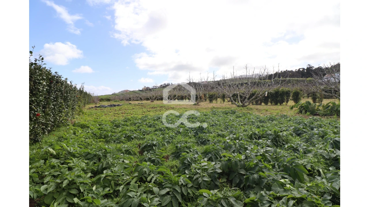 Terreno para Venda em Santana Foto 7