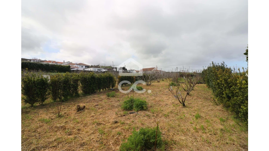 Terreno para Venda em Santana Foto 6